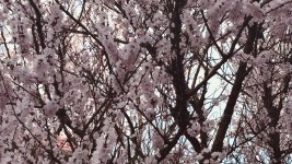 IMG_1465.jpeg