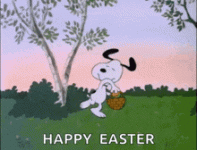 IMG_1804.gif IMG_1804.gif
